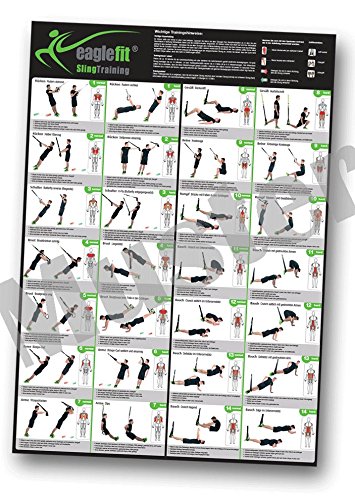 eaglefit® Sling Trainer mit Umlenkrolle Trainingsposter, Schlingentrainer – Modell 2017 - 2