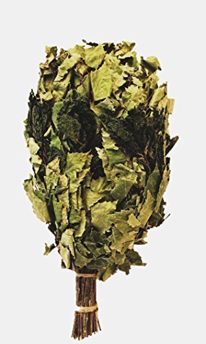 Preisvergleich Produktbild Sauna Reisig Birke + Brennessel / Birkenreisig plus Brennessel