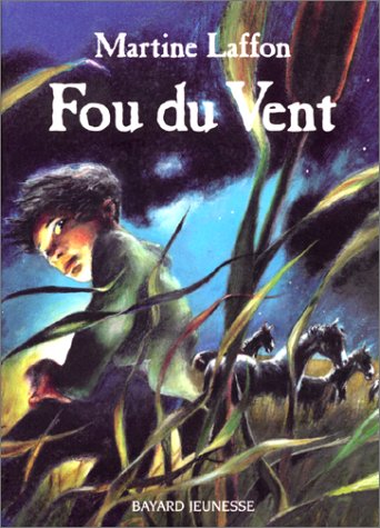 couverture de : Fou du vent