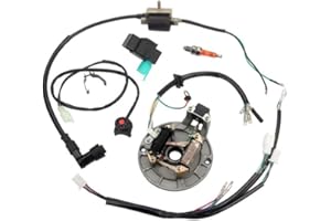 Baceyong Kit de estator magnético de bobina de encendido de arnés de cableado que aborda fallos eléctricos compatible con motos de cross de 50 cc, 70 cc, 110 cc, 125 cc, 4 tiempos