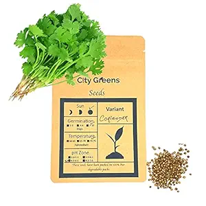 City Greens Coriander Seed - 30 gm, 4500 seeds - Vegetable Plant Seeds for Home Gardening