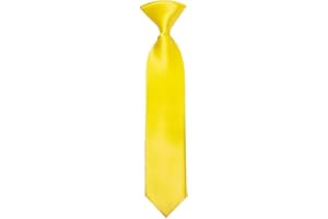 TIES R US Pre Tied Sunshine Yellow Satin Boys Tie Age 4-7