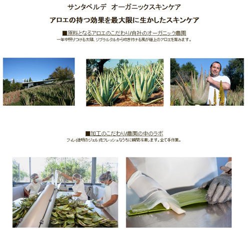 Santaverde Aloe Vera Reinigungsgel ohne Duft. 100ml - 4