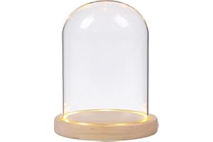 Nynelly Campana di Vetro con Base in Legno, Cloche a Cupola in Vetro Trasparente con Luce per Succulente, Keepsake, Centrotavola e Antiquariato, 3.5”D X 4.7”H