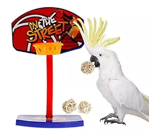 Sage Square Playful Basketball Cum Training Toy for Healthy and Happy Pet Care for Birds with 3 Balls