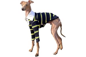 D DOGGY STAR Italian Greyhound Clothes Collared Stretchy T Shirts Whippet for Dogs (S,Collared Navy)