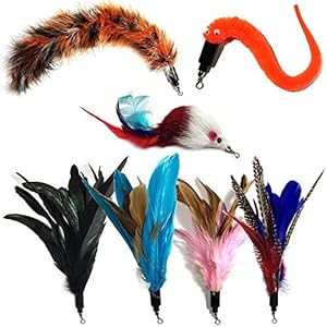 MAIYADUO 7pieces Juguete Interactivo de Gato de Plumas Surtido Vara de Varita retráctil de con Plumas