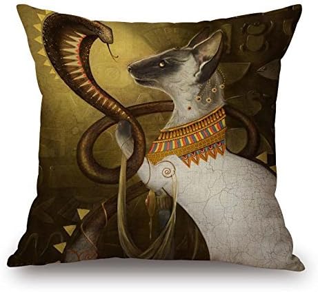 PaPaver Pillowcase 20 X 20 Inches/50 By 50 Cm(each Side) Nice Choice For Play Room Teens Girls Festival Bf Seat Adults Dog
