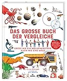 Das große Buch der Vergleiche | Spannendes Sachbuch für Kinder ab 8 Jahren by 