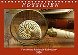 Anja Frost Fossilien - Versteinerte Relikte der Erdzeitalter (Tischkalender 2020 DIN A5 quer): Einen Querschnitt durch die Vielfalt der Fossilien (Geburtstagskalender, 14 Seiten ) (CALVENDO Wissenschaft)