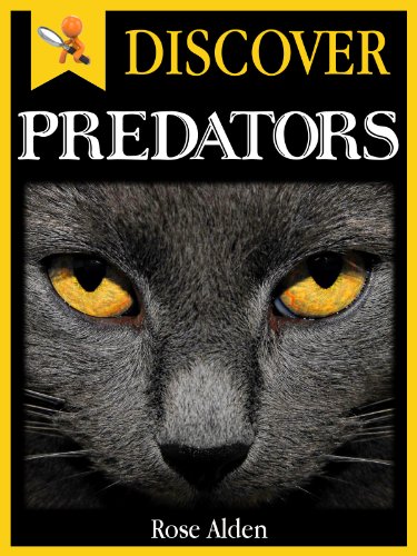 Download Discover Predators - Fun facts For Kids Download Discover Predators - Fun facts For Kids