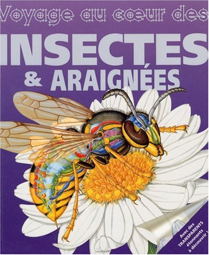 couverture de : Voyage au coeur des insectes & araign&eacute;es