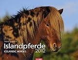 Islandpferde 2012 / Icelandic Horses 2012 / Íslenkir Hestar 2012 by 