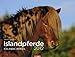 Islandpferde 2012 / Icelandic Horses 2012 / Íslenkir Hestar 2012 by 