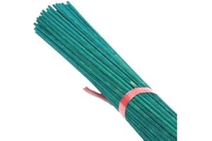 PGONA 24" Green Garden Split Canes x 100