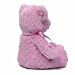 Gund My 1st Teddy (Small Pink)
