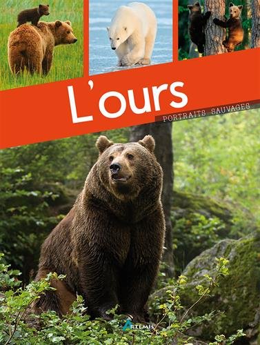 couverture de : L'ours