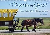 Töwerland Juist (Wandkalender 2016 DIN A3 quer): Insel der Entschleunigung (Monatskalender, 14 Seiten ) (CALVENDO Natur) by 