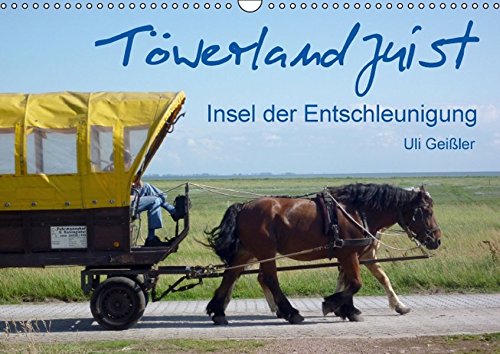 Töwerland Juist (Wandkalender 2016 DIN A3 quer): Insel der Entschleunigung (Monatskalender, 14 Seiten ) (CALVENDO Natur)