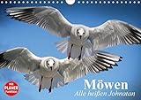 Möwen. Alle heißen Johnatan (Wandkalender 2018 DIN A4 quer): Wendige Schnäppchenjäger in eleganter Kleidung (Geburtstagskalender, 14 Seiten ) ... [Kalender] [Apr 01, 2017] Stanzer, Elisabeth by 