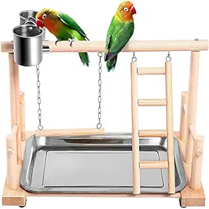 SAWMONG Bird Playgroud Parrots Wood Perch Playstand Gym Stand Playpen Ladder with Feeder Seed Cups, Bird Ropes, Toys Exercise Play for Cockatiels, Conures, Parakeets, Finch Small Animals