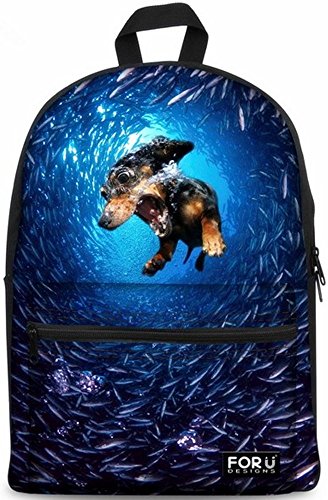 « Click to Enlarge and to go to Amazon »