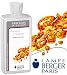 Produktbild LAMPE BERGER Paris Nachfüllflasche Raumduft Poussière d'Ambre (0,5l)
