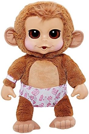 Animal Babies Baby Monkey