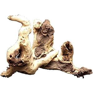 Mopani Holz 40–65cm