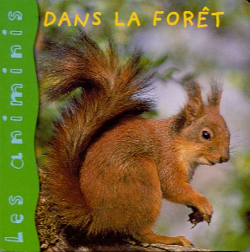 Dans la forêt