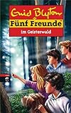 Fünf Freunde im Geisterwald (Einzelbände 66) by