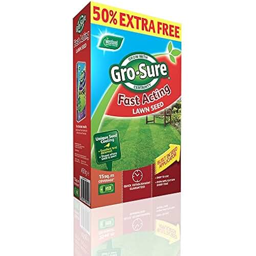 Amazon.co.uk fast growing grass seed