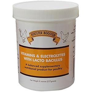 TDL Rooster Booster Vitamins and Electrolytes Lactobacillus Poultry Care Jar 8oz