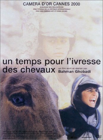couverture de : Un temps pour l'ivresse des chevaux