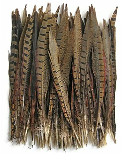 ERGEOB Federn, Fasan federn, 30-35cm/ 12-14 Zoll Länge Fasan Schwanzfedern 10,30,50 stück