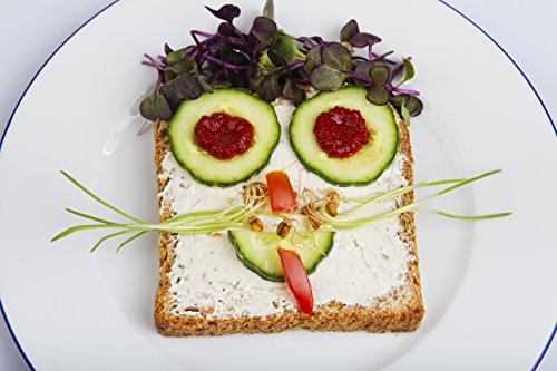 Preisvergleich Produktbild Keimsprossenbox / Keimbox