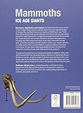 Image de Mammoths: Ice Age Giants