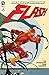 Flash: Bd. 6: Geisterjagd in Central City by