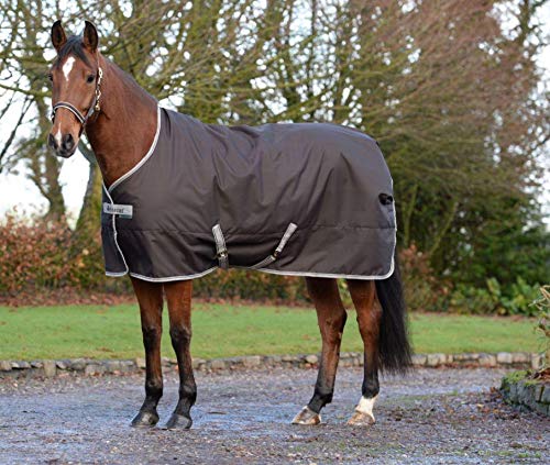 Preisvergleich Produktbild Bucas Freedom Turnout Light Herbst / Winter 2019 Coffee 145cm