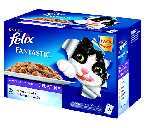 Purina Felix Fantastic SelecciOnes Favoritas en Gelatina pack surtido sobres 12x100g