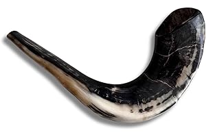 SPRING NAHAL Authentischer und koscherer polierter Ramhorn-Schofar aus Israel (40,6 cm – 45,7 cm)