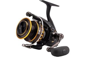 DAIWA BG, Ambidextre, Moulinet de Pêche en Mer, Moulinet Spinning Mer, Frein Avant