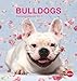 Bulldogs Postkartenkalender 2015 by