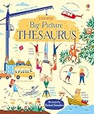 My Big Picture Thesaurus by 