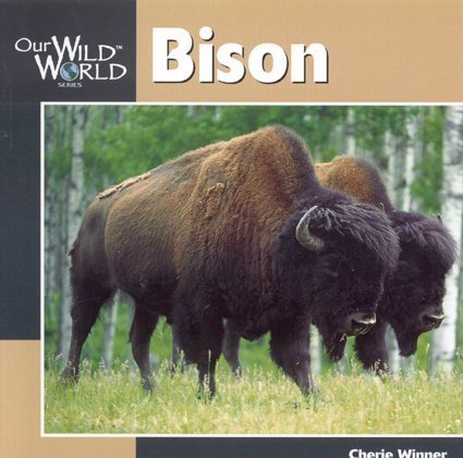 Bison (Our Wild World Series)