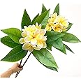 OUKEYI 35.5 Inch Artificial Flowers Artificial Frangipani Flower Lifelike Real Touch Artificial Plumeria Flowers for Home Party Wedding Bouquet Home Decoration (Yellow) 2 Pack