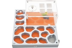 KXCR Gypse Fourmis Nid Insecte Villa Hydratant Ferme Habitat Plâtre Maison Château Fourmilière AntHouse Boîte D'écologie pour Les Fourmis D'étude (Taille : D)