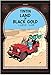Land of Black Gold (The Adventures of Tintin, Band 14) by