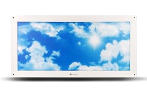 Awenia Plafonnier LED Panneau led 24W, lampe plafond 2400lm Blanc Froid 6500K, 11.81 * 23.62 in, Equivalence incandescence 150W, pour Chambre Salon Salle de Bain Hall Couloir Balcon Bureau