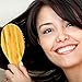 Boar Bristle Hair Brush - Natural Wooden Bamboo Handle Best for Styling, Straightening, Detangling or to Set Thick, Thin, Fine, Straight, Curly, Wavy, Long, Short, Dry, or Damaged Hair on Men or Women